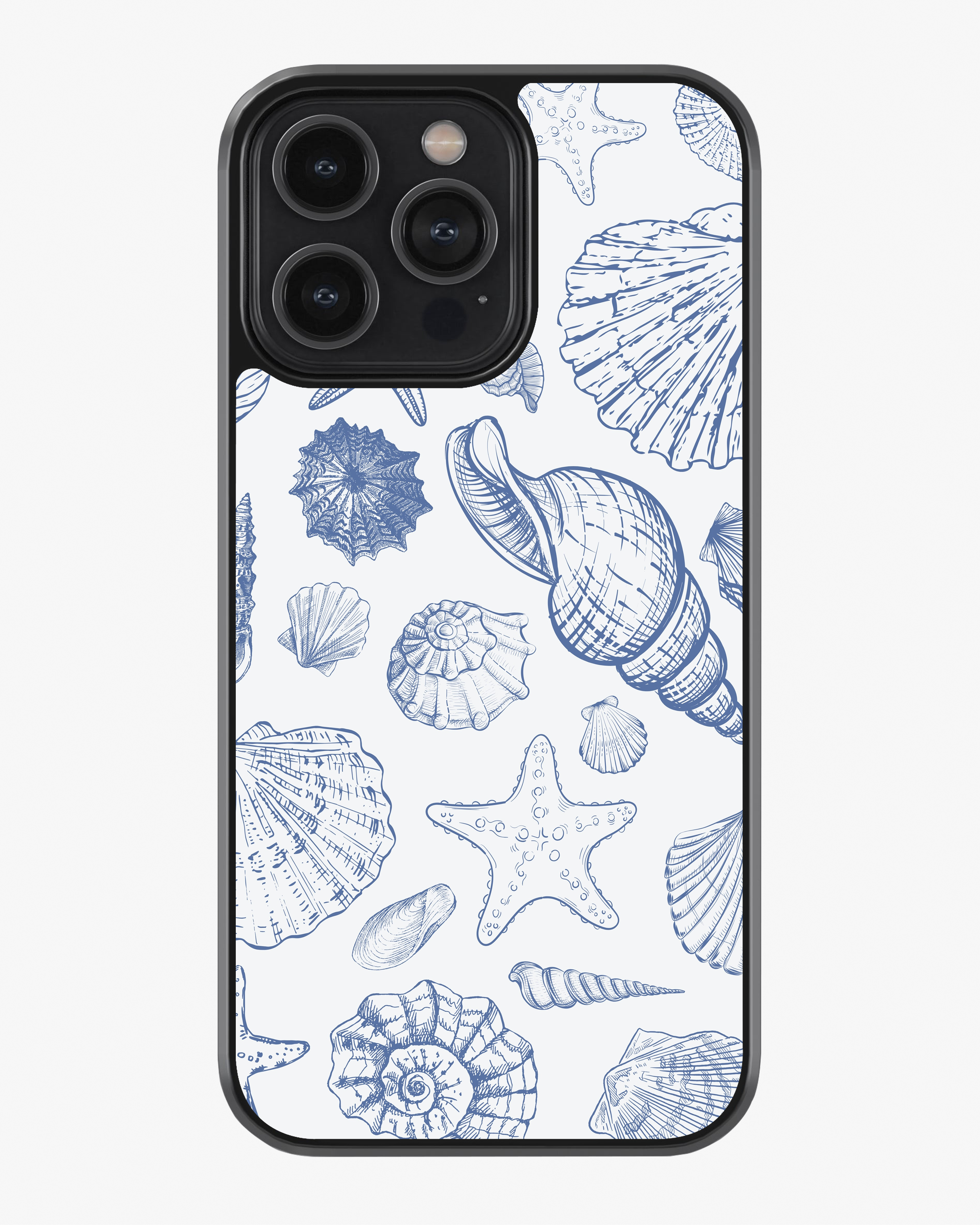 Seashells Glass Case