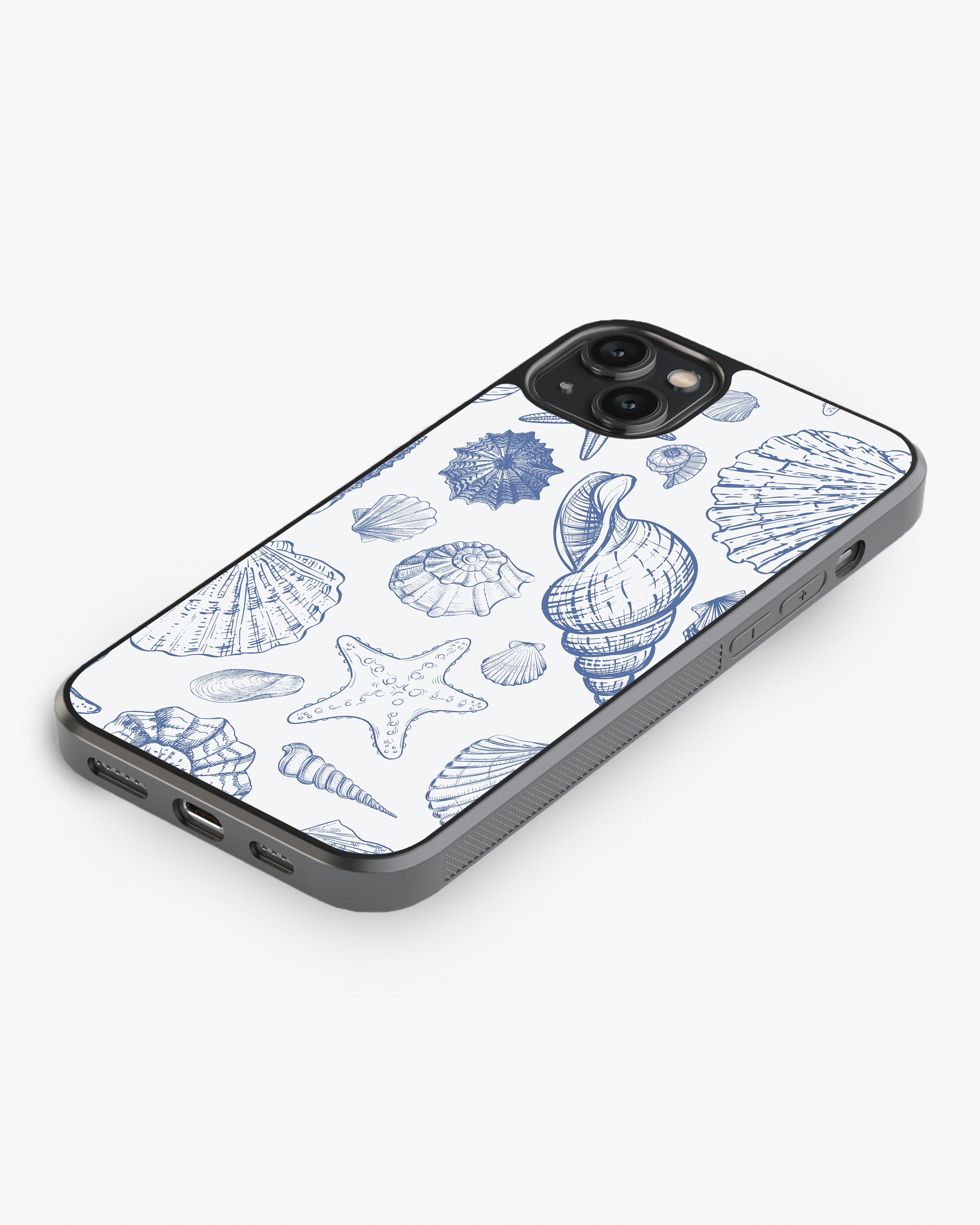 Seashells Glass Case