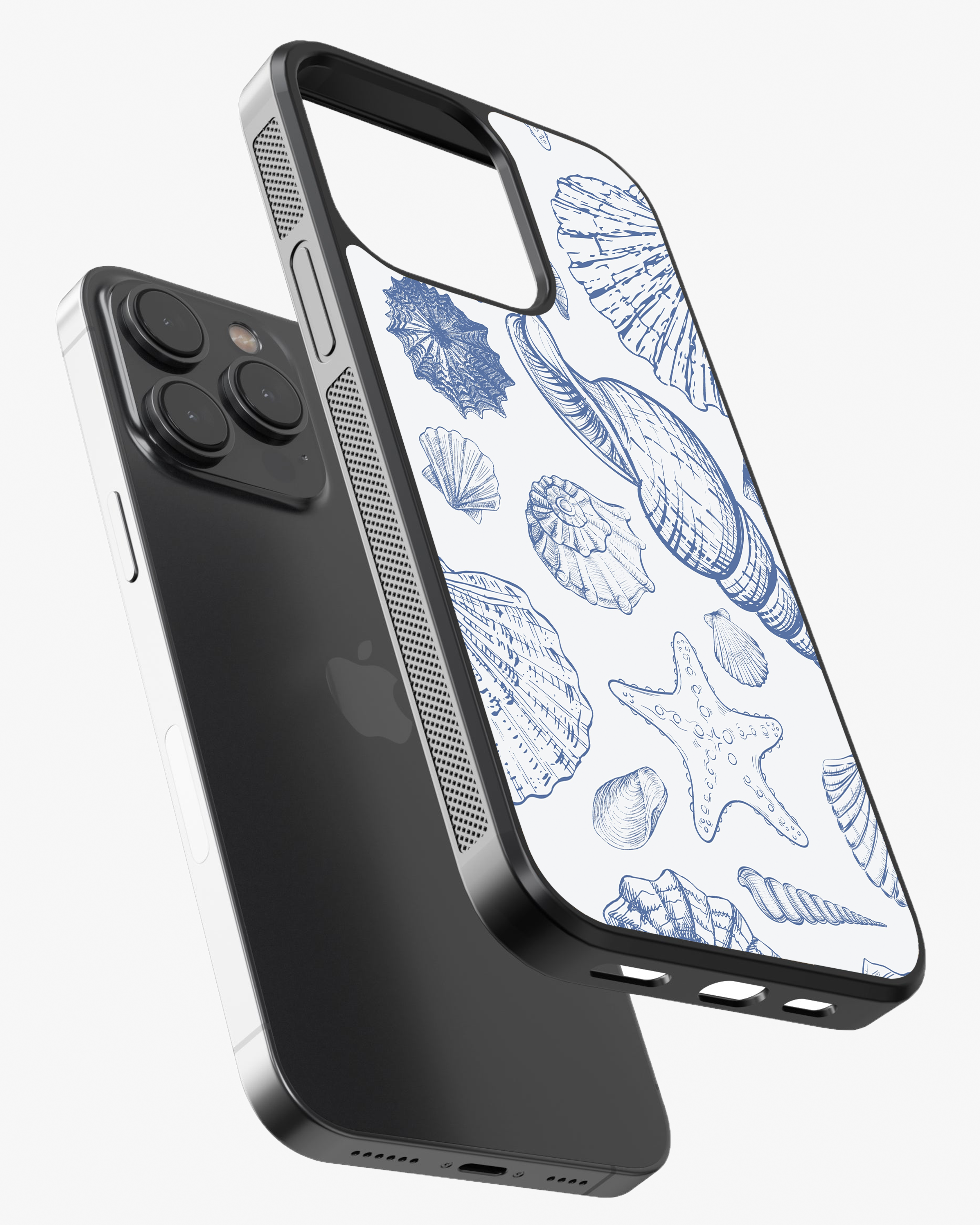 Seashells Glass Case